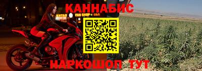 mdpv Можга