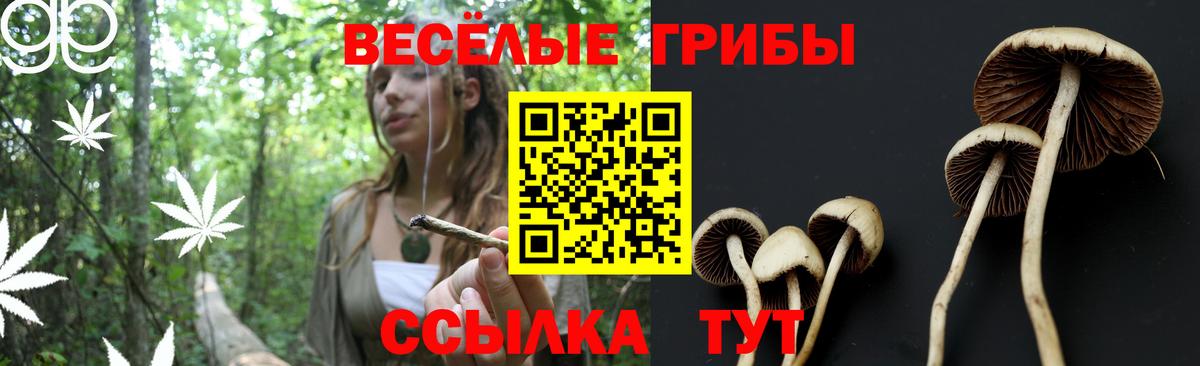 Заинск  Галлюциногенные грибы мицелий  Галлюциногенные грибы Magic Shrooms  Вход с VPN 